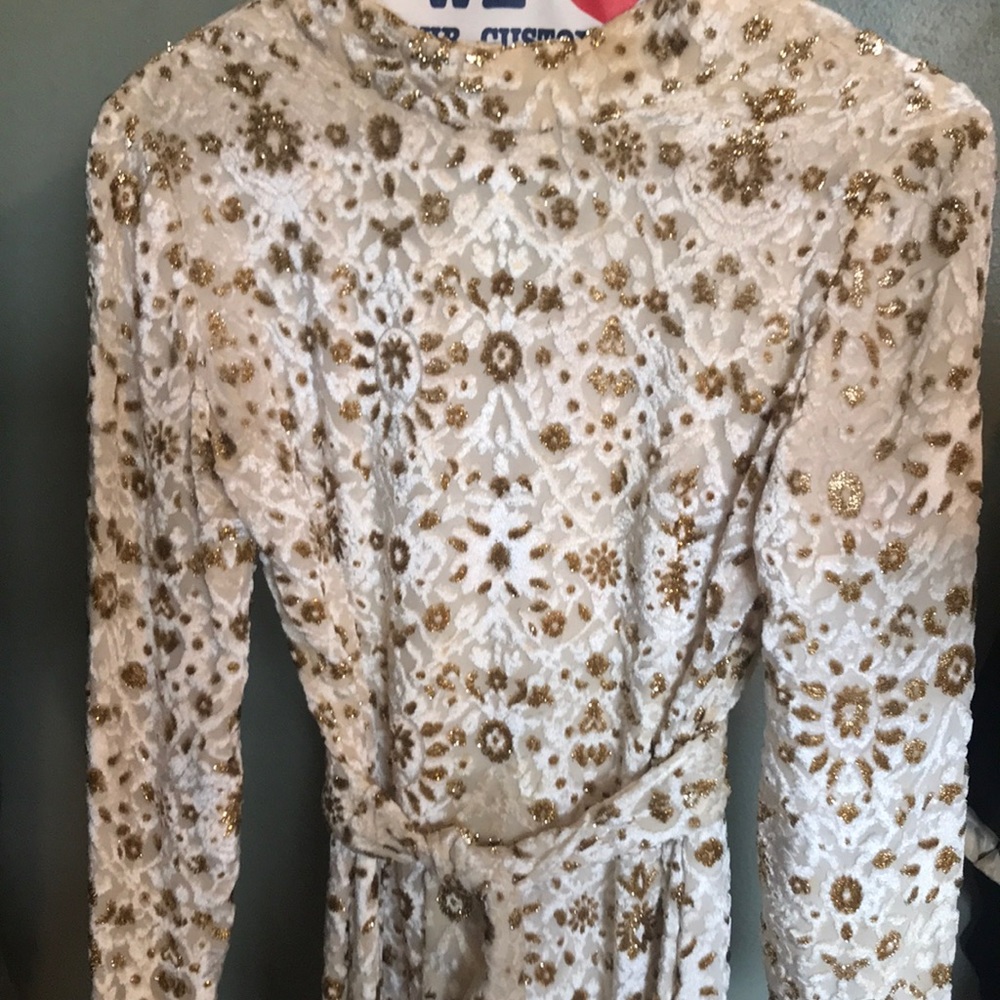 Lisa Meril Cream and Gold burnout velvet dress